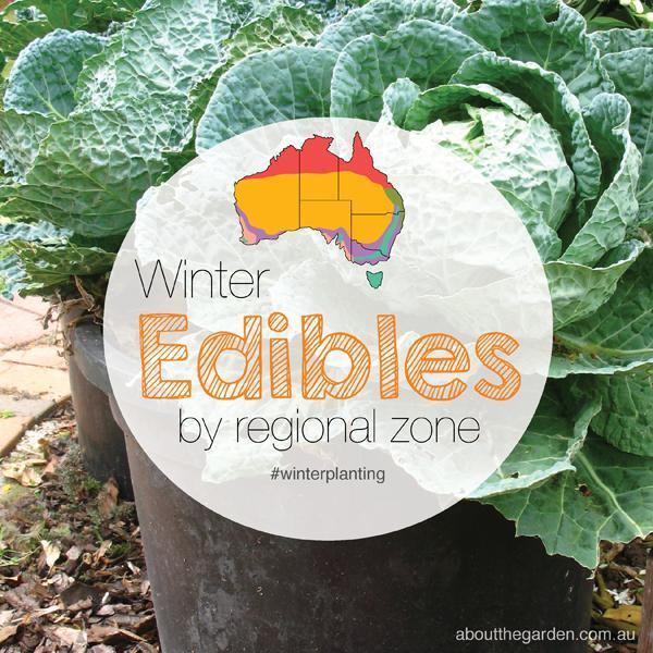 Winter Edibles by regional zone - Sungrown Nursery gardening toowoomba