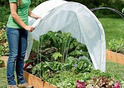 Sungrown Nursery Pest Management & Gardening Products