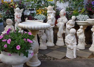 Sungrown Nursery Statue Pots & Gift Ware herbs toowoomba 02