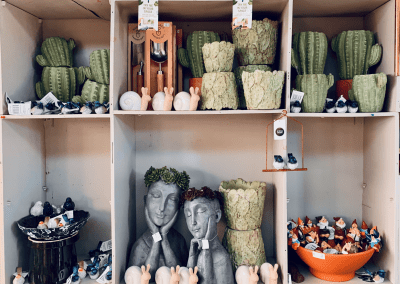 Sungrown Nursery Statue Pots & Gift Ware herbs toowoomba 14