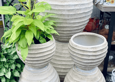 Sungrown Nursery Statue Pots & Gift Ware herbs toowoomba 15