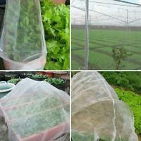 Sungrown Nursery Frost Bird and Insect Netting 03