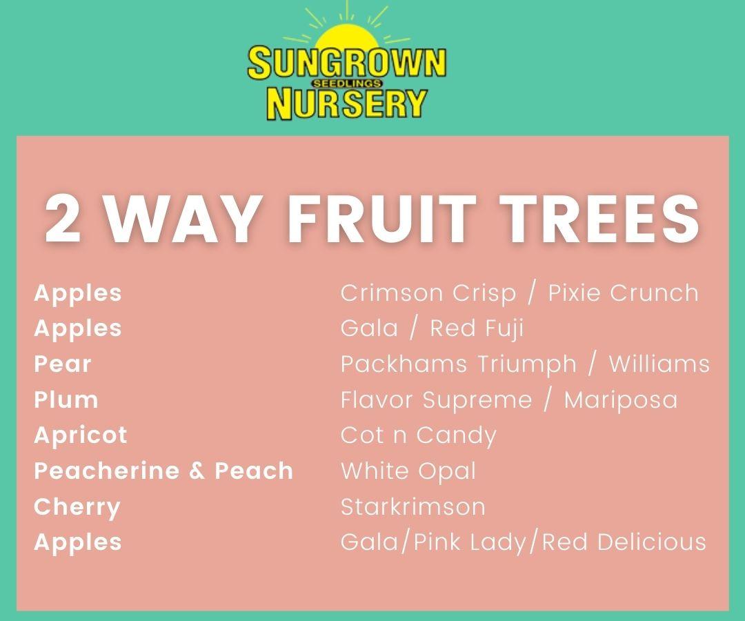 Sungrown Nursery - Fruit Trees